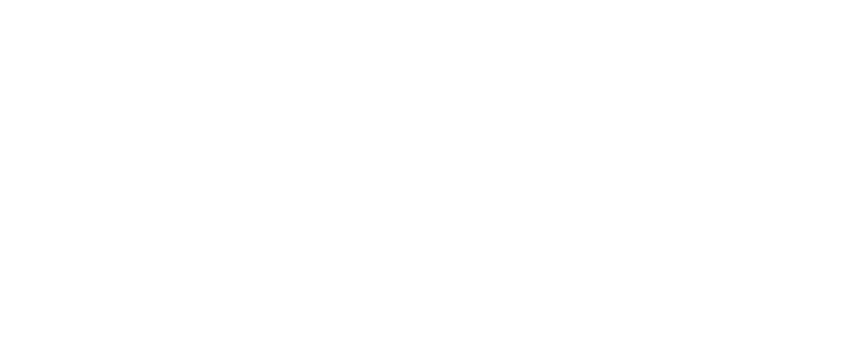 Смородина оптим от Фермерского хозяйства "Ягодное изобилие"